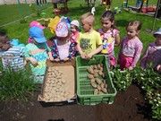 Zahrádka ve školce